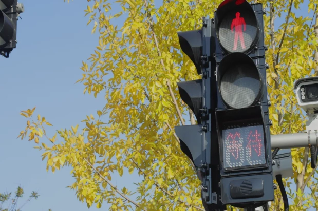 FAMA-Fußgängerampeln mit akustischem Signal und Kunststoffgehäuse: Über 7.500 verkaufte Einheiten im November, im Einsatz an mehr als 1.000 Kreuzungen. FAMA-Fußgängerampeln mit akustischem Signal und Kunststoffgehäuse: Über 7.500 verkaufte Einheiten im November, im Einsatz an mehr als 1.000 Kreuzungen.