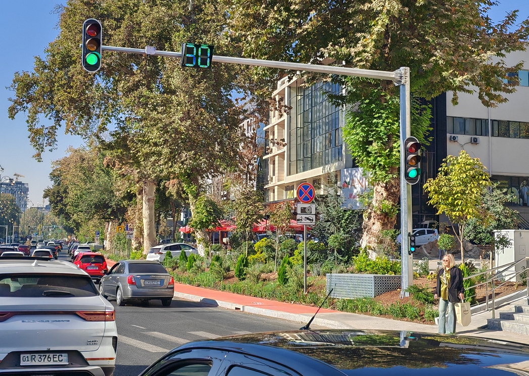 Optimierungsl&ouml;sung f&uuml;r signalisierte Steuerungskreuzungen